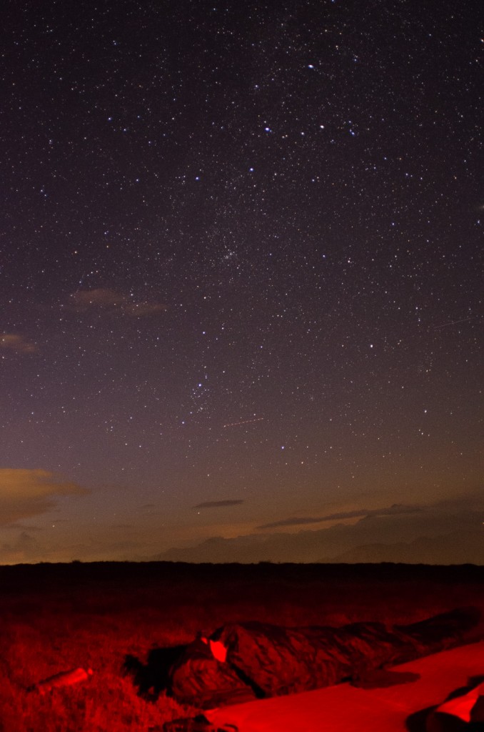 My daughter sleeping under the starlit summer sky.