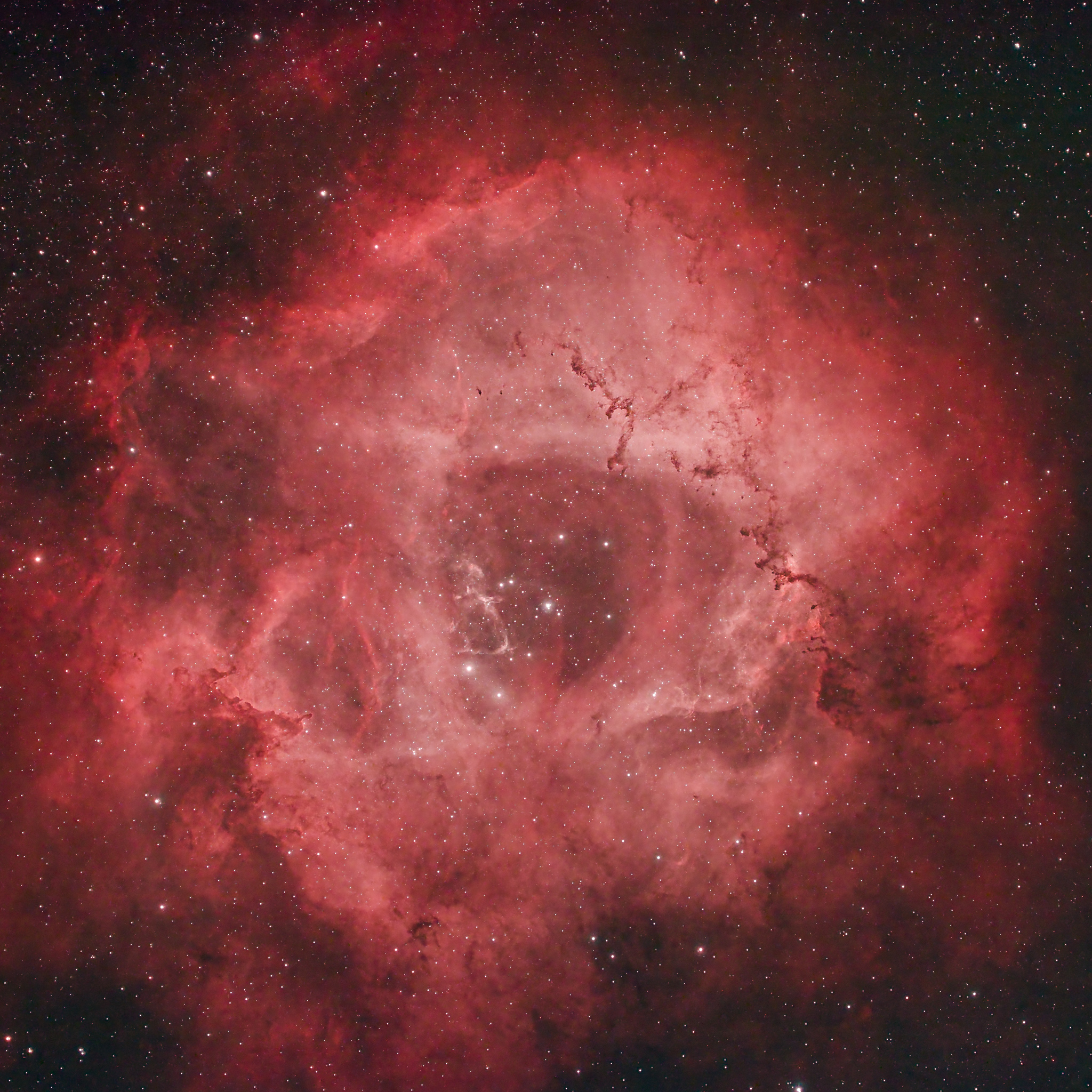 Rosette Nebula Philipp Salzgeber Photography rosette-nebula-philipp-salzgeber-photography